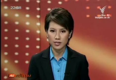 การพังทลายของชายหาด วาระประเทศไทย