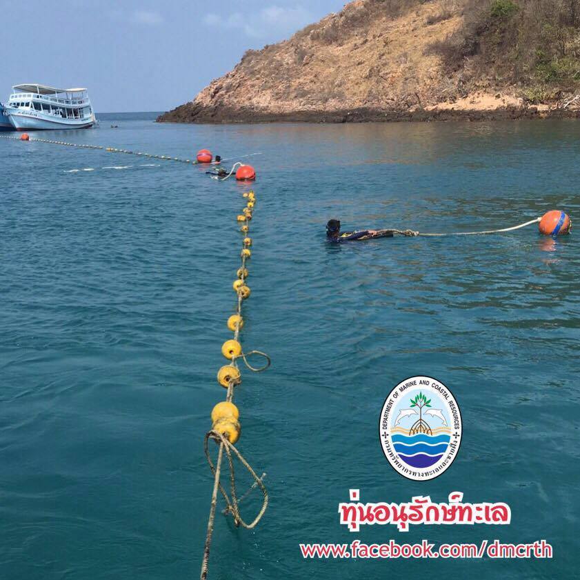 สวัสดี พี่น้องเครือข่ายรักษ์ทะเลไทย