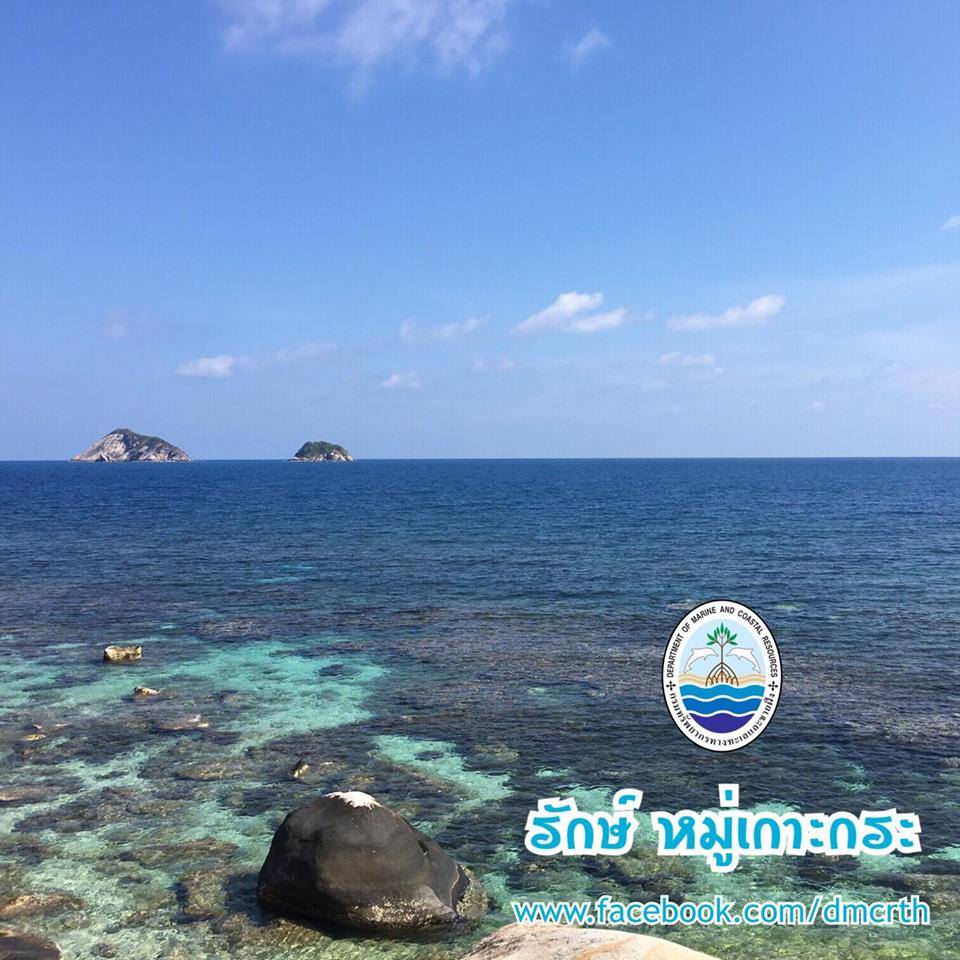 สวัสดี พี่น้องเครือข่ายรักษ์ทะเลไทย