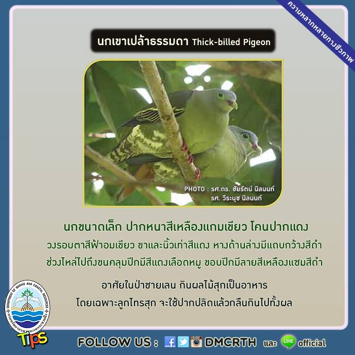 เกร็ดความรู้ ทช.