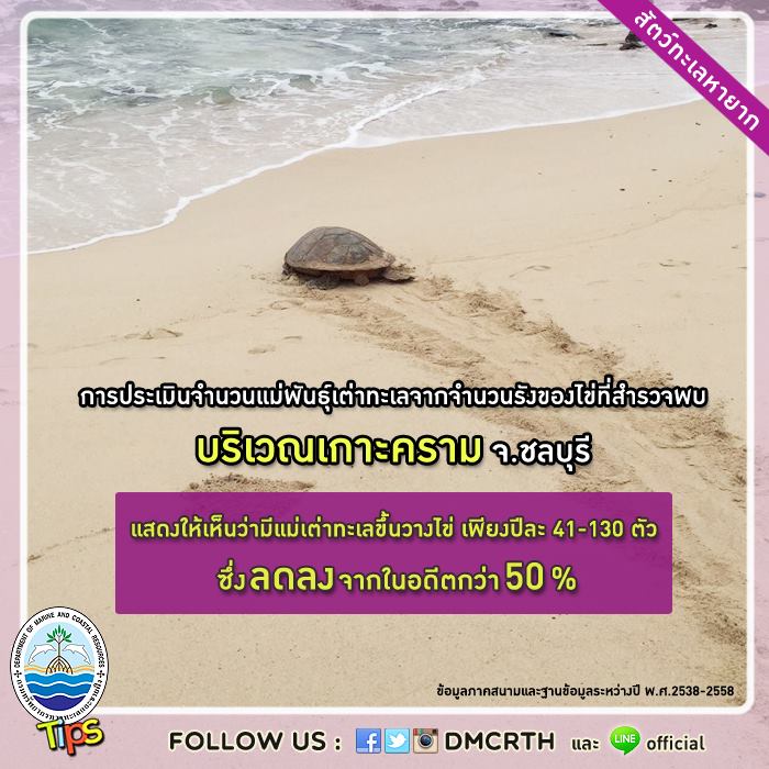 เกร็ดความรู้ ทช.