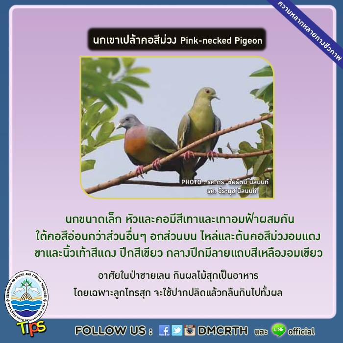 เกร็ดความรู้ ทช.
