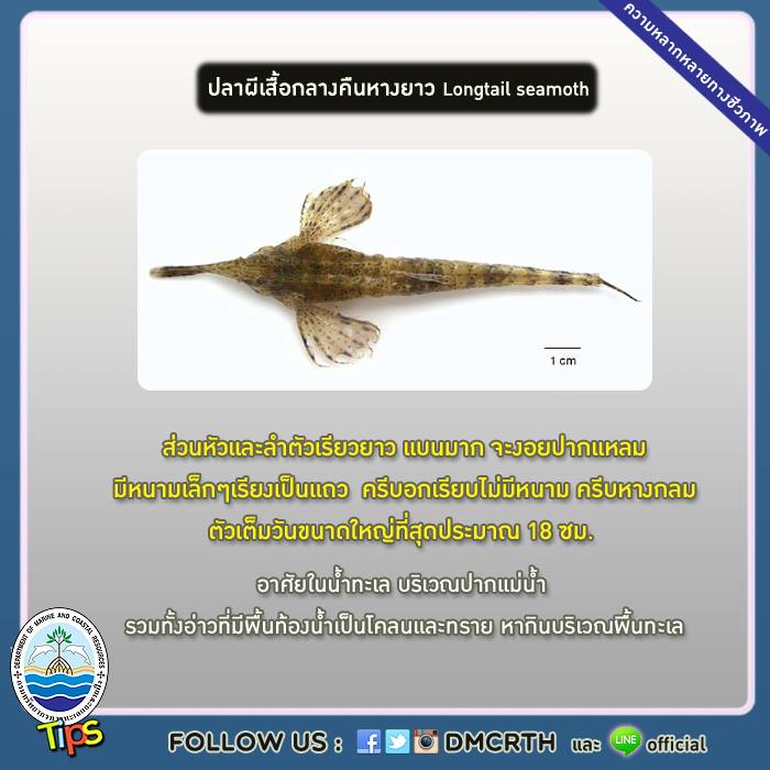 เกร็ดความรู้ ทช.