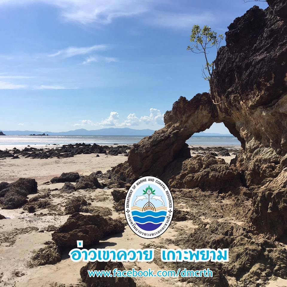 สวัสดี พี่น้องเครือข่ายรักษ์ทะเลไทย