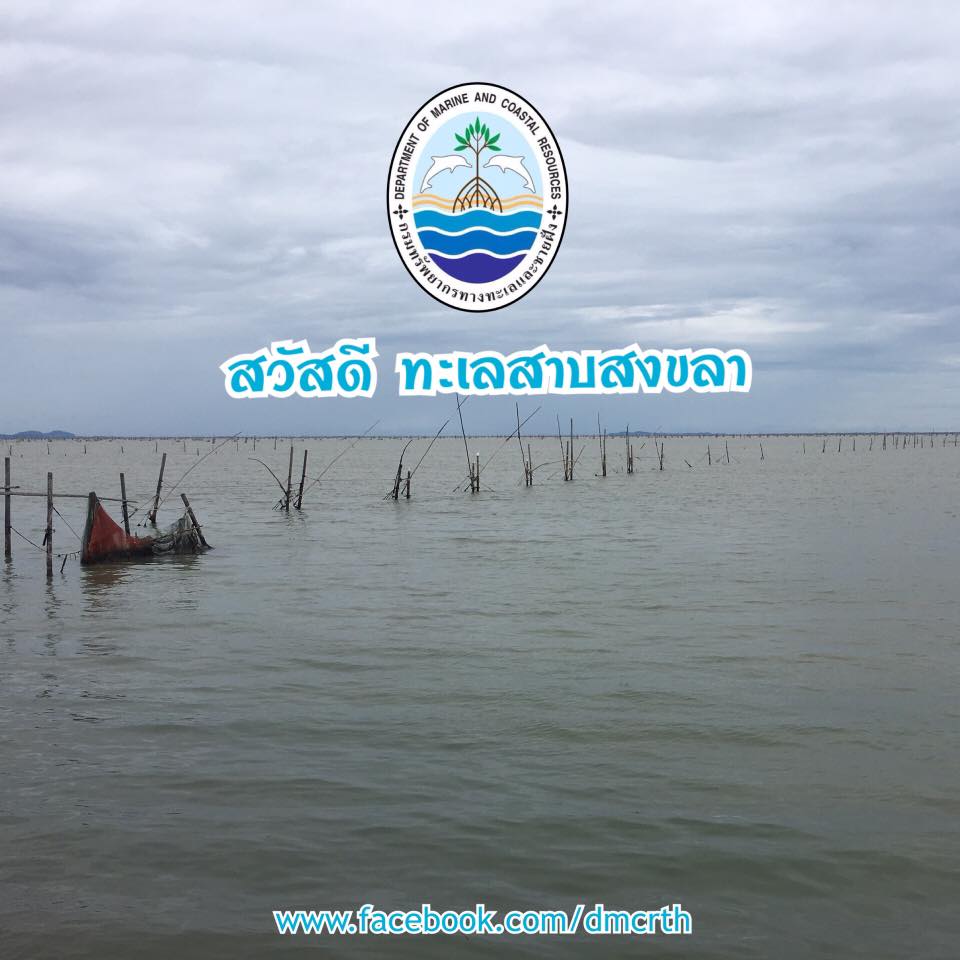 สวัสดี พี่น้องเครือข่ายรักษ์ทะเลไทย