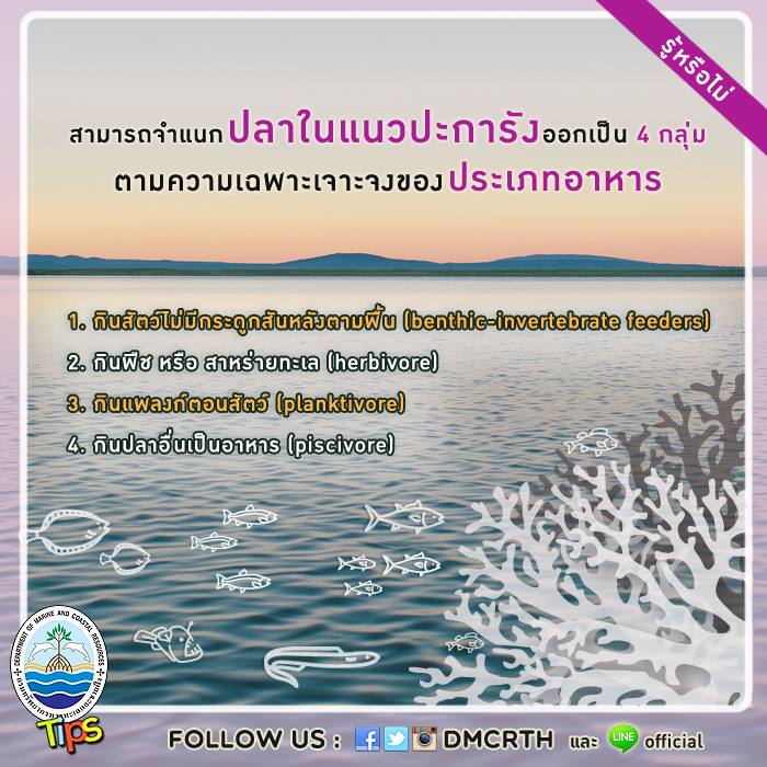 เกร็ดความรู้ ทช.