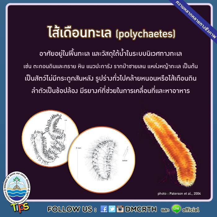 เกร็ดความรู้ ทช.