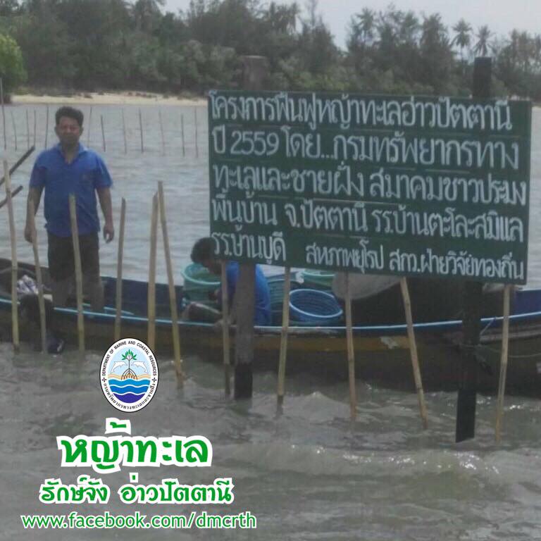 สวัสดี พี่น้องเครือข่ายรักษ์ทะเลไทย