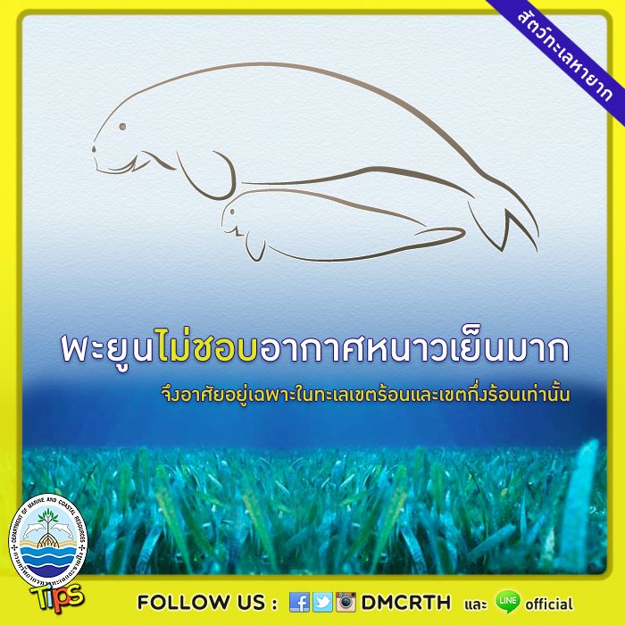 เกร็ดความรู้ ทช.