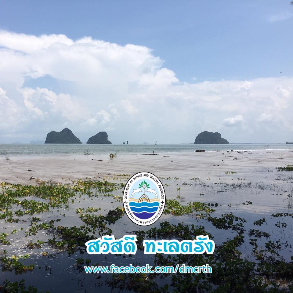 สวัสดี พี่น้องเครือข่ายรักษ์ทะเลไทย