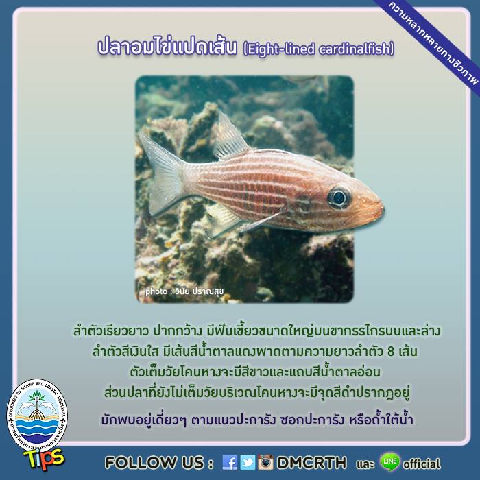 เกร็ดความรู้ ทช.