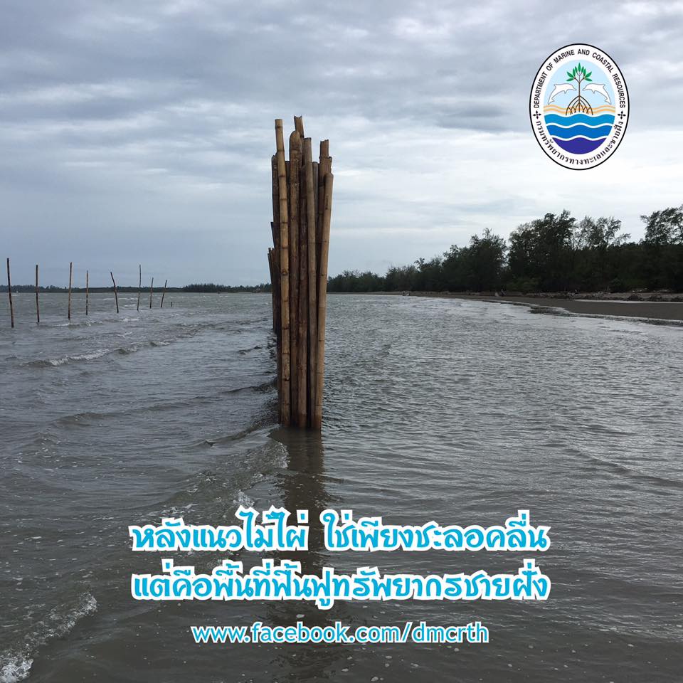 สวัสดี พี่น้องเครือข่ายรักษ์ทะเลไทย