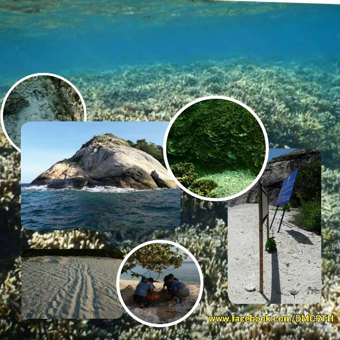 เกาะกระปลอดภัยดี พบร่องรอยแม่เต่าขึ้นวางไข่