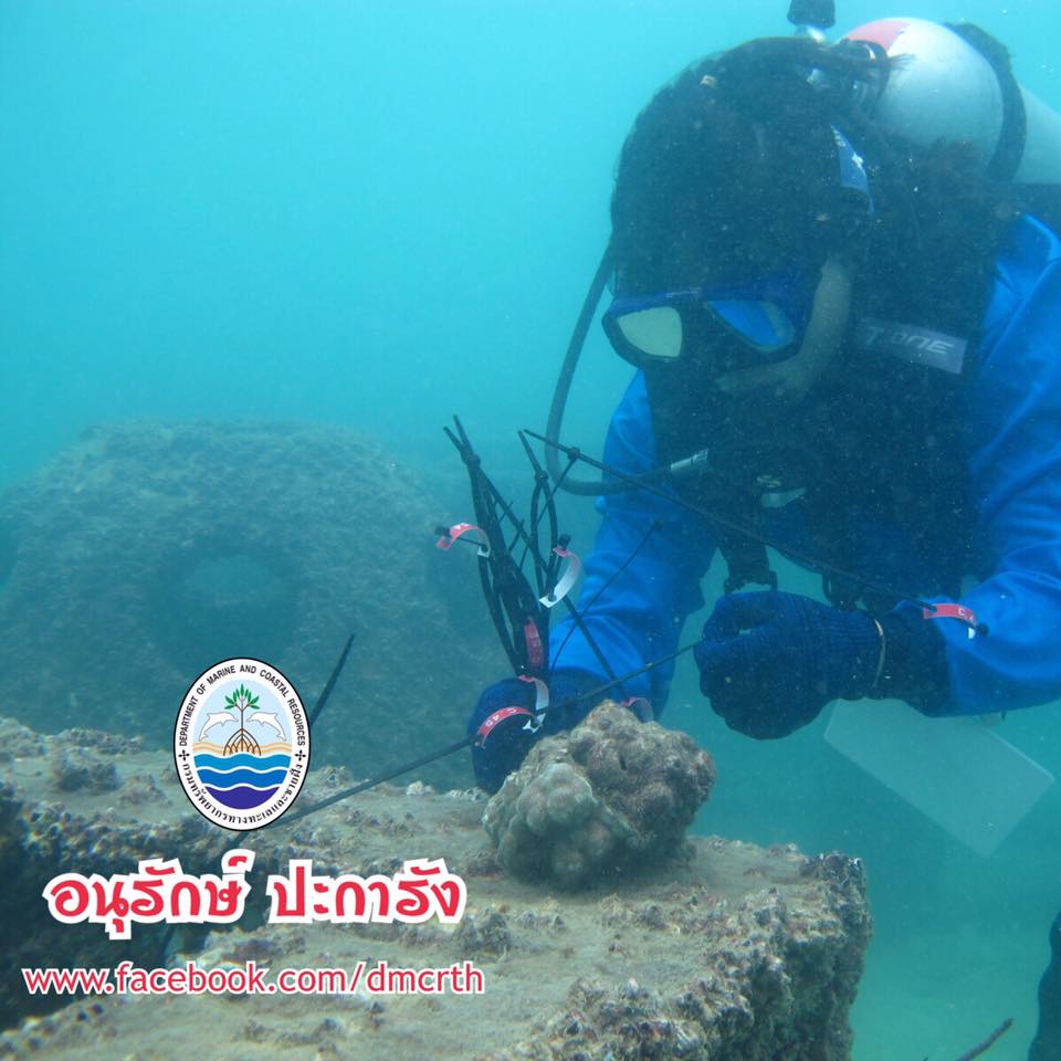 สวัสดี พี่น้องเครือข่ายรักษ์ทะเลไทย