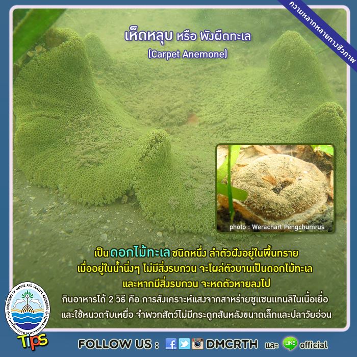 เกร็ดความรู้ ทช.