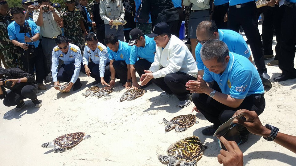 กิจกรรมวางทุ่นแนวเขตอนุรักษ์และฟื้นฟูแนวปะการัง