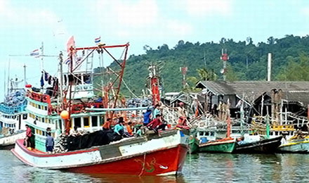 ศปมผ.ยืนยัน ตรวจเรือประมงกลางทะเลไม่มีการเก็บเงิน