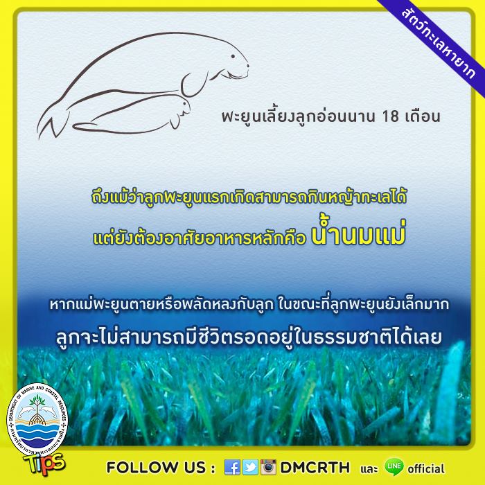 เกร็ดความรู้ ทช.
