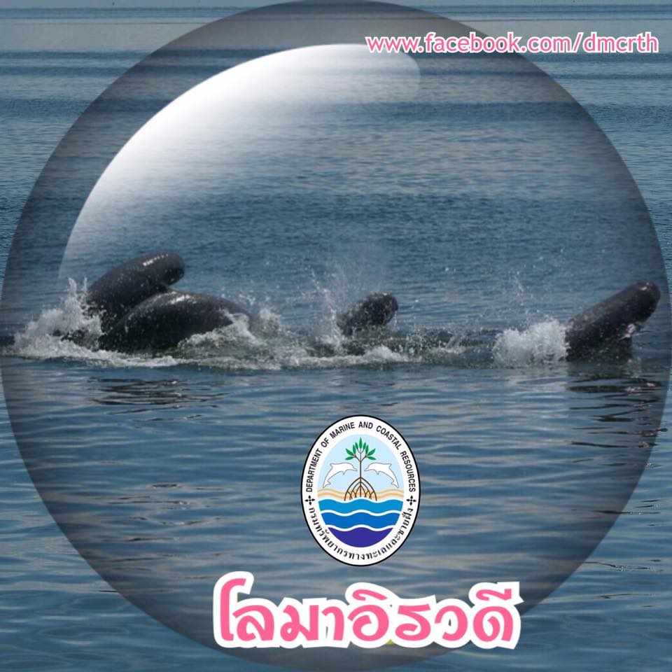 สวัสดี พี่น้องเครือข่ายรักษ์ทะเลไทย