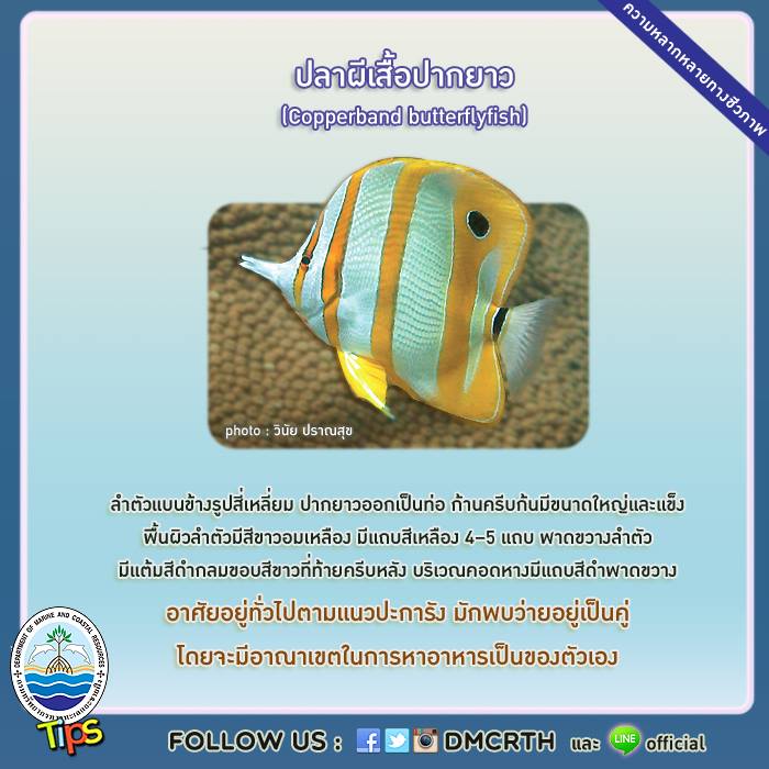 เกร็ดความรู้ ทช.