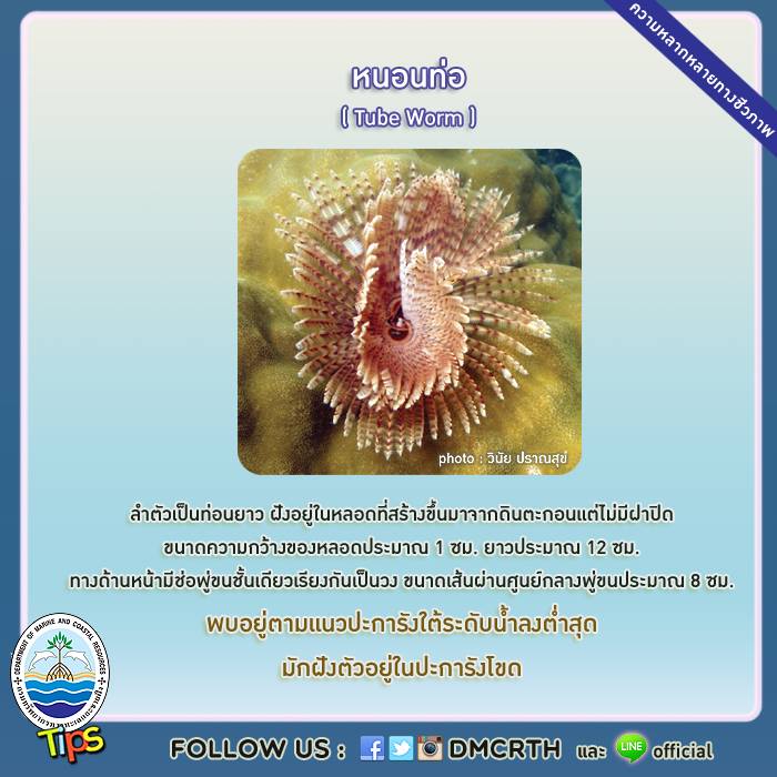 เกร็ดความรู้ ทช.