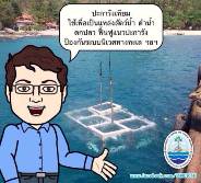 เกร็ดความรู้ ทช