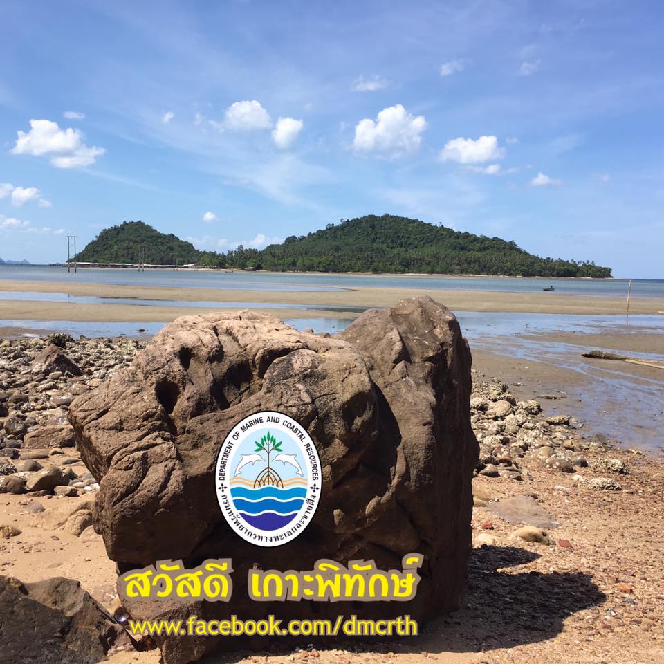 สวัสดี พี่น้องเครือข่ายรักษ์ทะเลไทย