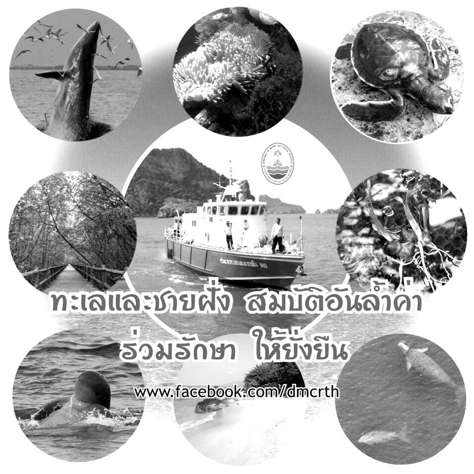สวัสดี พี่น้องเครือข่ายรักษ์ทะเลไทย