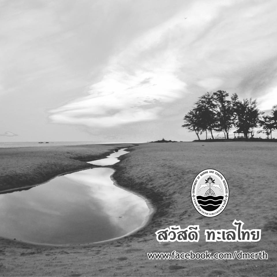 สวัสดี พี่น้องเครือข่ายรักษ์ทะเลไทย