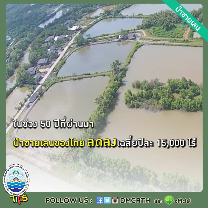 เกร็ดความรู้ ทช.