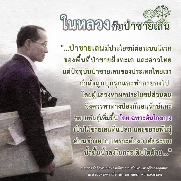 สวัสดี พี่น้องเครือข่ายรักษ์ทะเลไทย