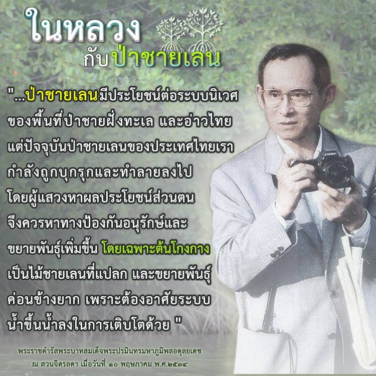 สวัสดี พี่น้องเครือข่ายรักษ์ทะเลไทย