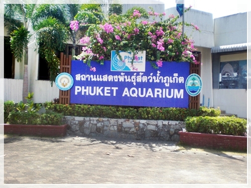 อควาเรียมภูเก็ต"คว้าทุนหมุนเวียน