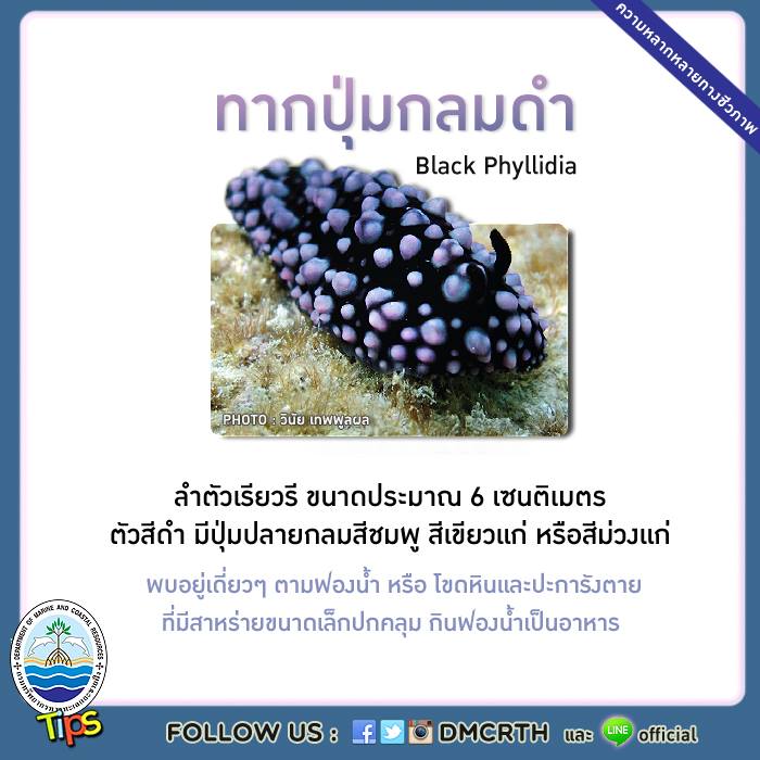เกร็ดความรู้ ทช.