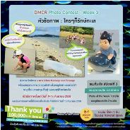 วันหยุดอย่างนี้ เราออกไปดูแลทะเลกันเถอะ!