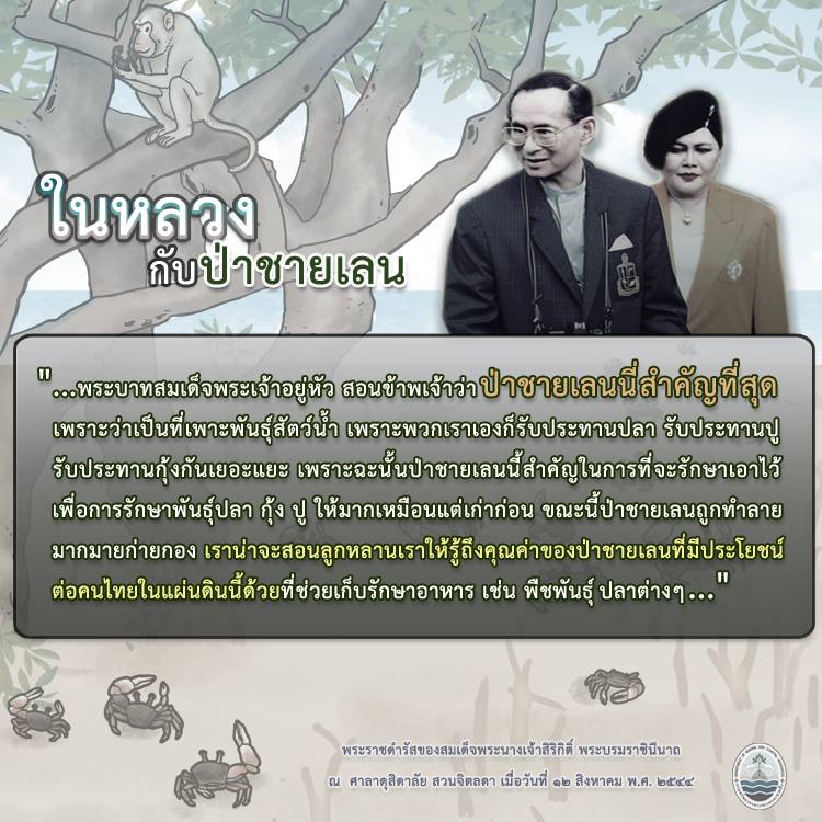 สวัสดี พี่น้องเครือข่ายรักษ์ทะเลไทย