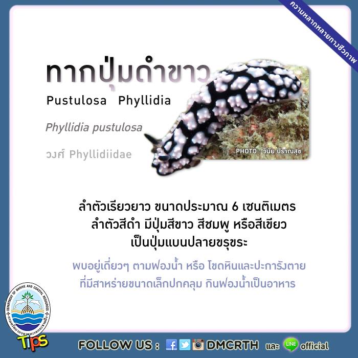 เกร็ดความรู้ ทช.