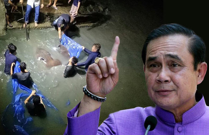 คืนความสุขสู่สัตว์น้ำ!! จัดระเบียบ “สุสานปลากระเบนที่ใหญ่ที่สุด”