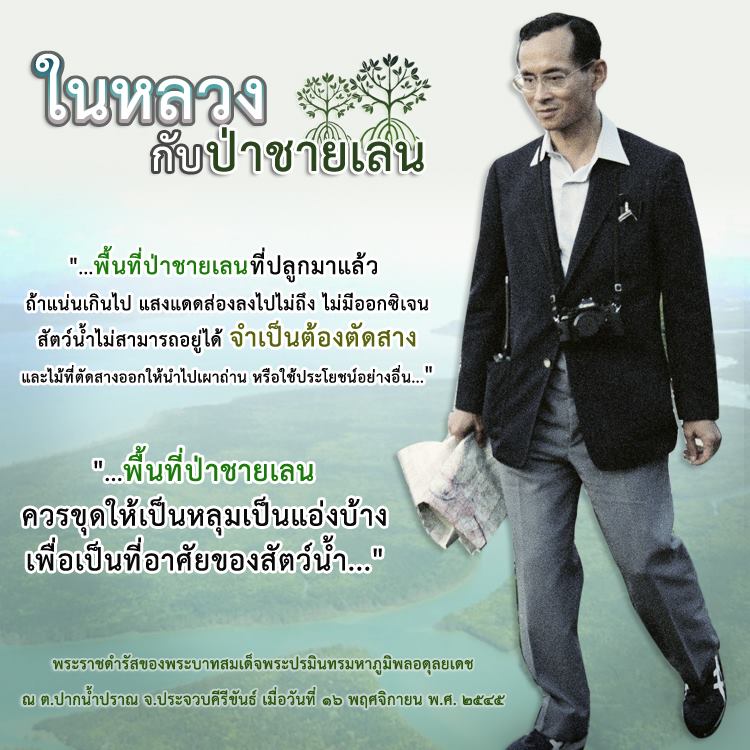 สวัสดี พี่น้องเครือข่ายรักษ์ทะเลไทย