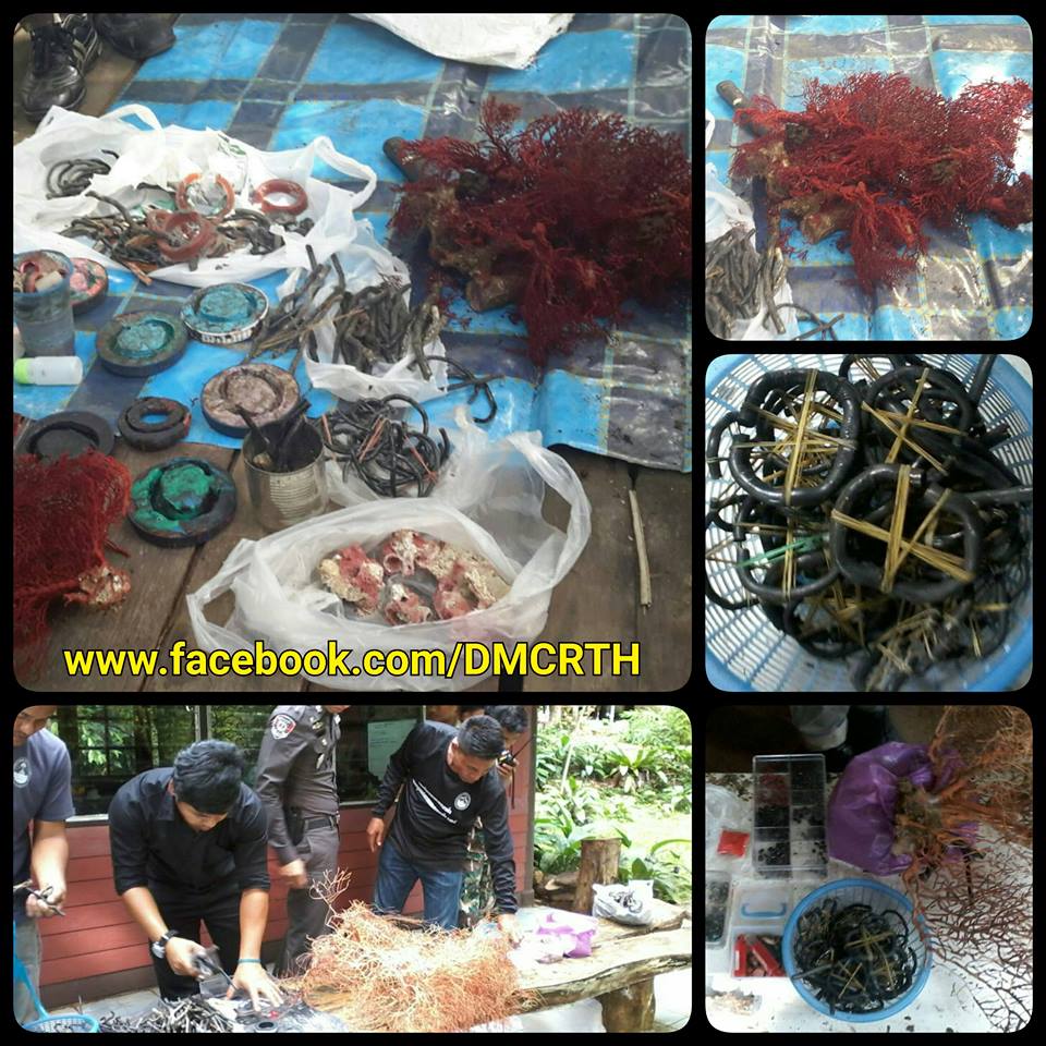 ย้ำอีกที! กัลปังหาเป็นสัตว์ป่าคุ้มครอง ห้ามมีไว้ในครอบครองหรือเพื่อการค้าขาย
