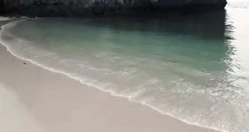 แมงกะพรุนไฟบุก ลอยเกลื่อนชายหาด เตือนนักท่องเที่ยวห้ามลงเล่นน้ำ