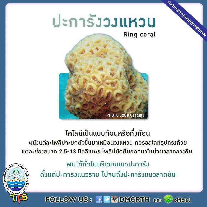 เกร็ดความรู้ ทช.