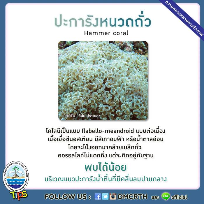 เกร็ดความรู้ ทช.