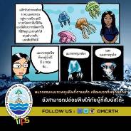 เกร็ดความรู้ ทช.