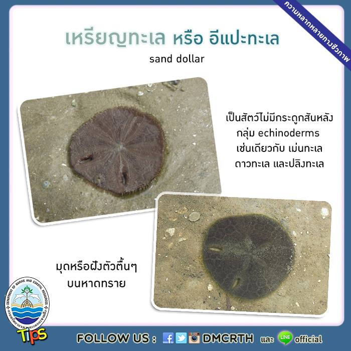 เกร็ดความรู้ ทช.