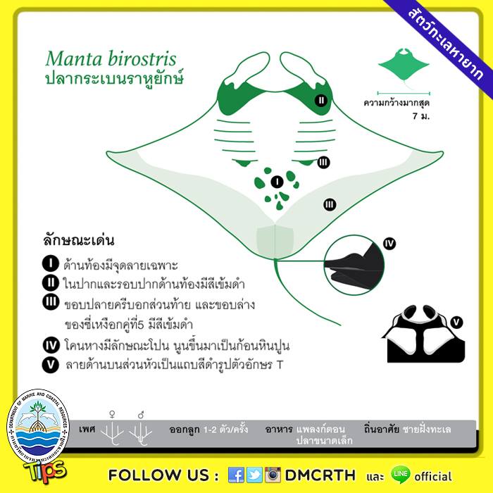 เกร็ดความรู้ ทช.