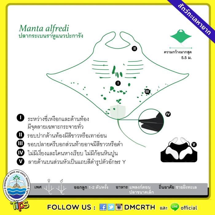 เกร็ดความรู้ ทช.