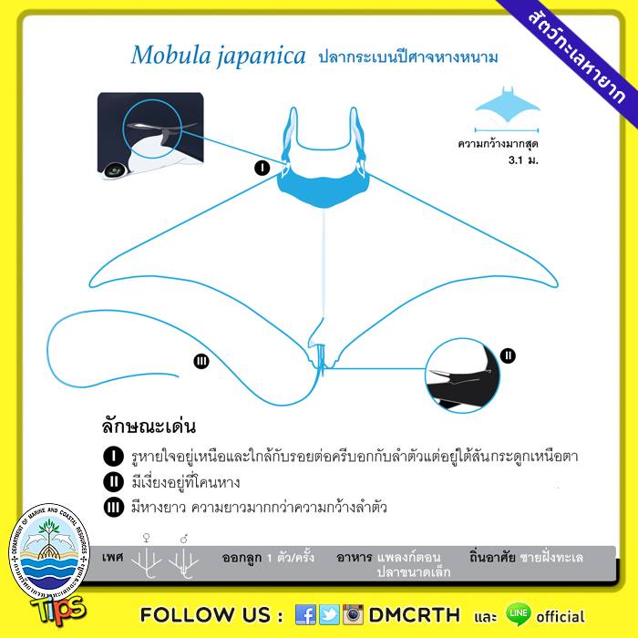เกร็ดความรู้ ทช.