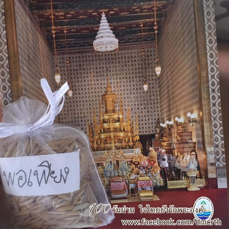 สวัสดี พี่น้องเครือข่ายรักษ์ทะเลไทย