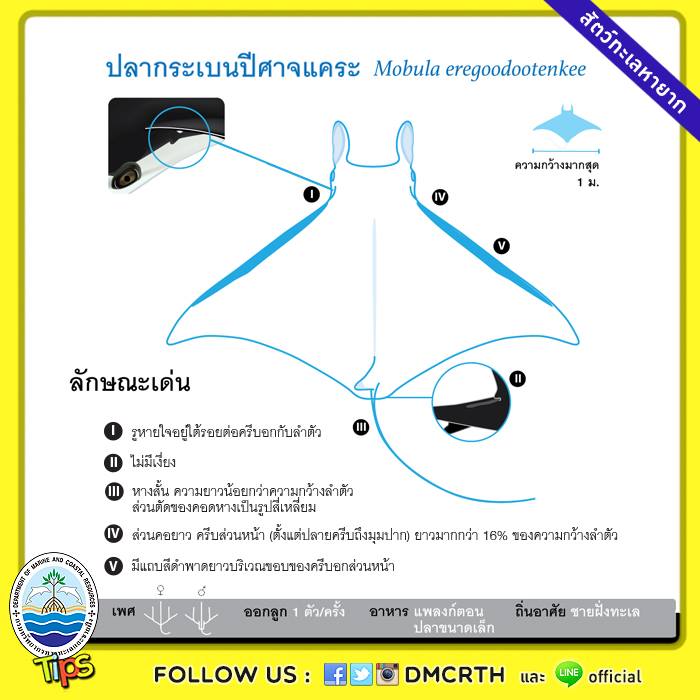 เกร็ดความรู้ ทช.